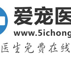 互联网宠物医疗平台爱宠医生A轮获投数千万