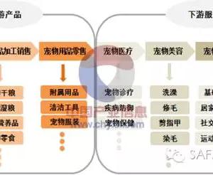 我国宠物医疗属朝阳产业，宠物医院连锁成发展趋势