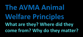 avma-animal-welfare-principles