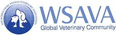 wsava-logo-theme.jpg