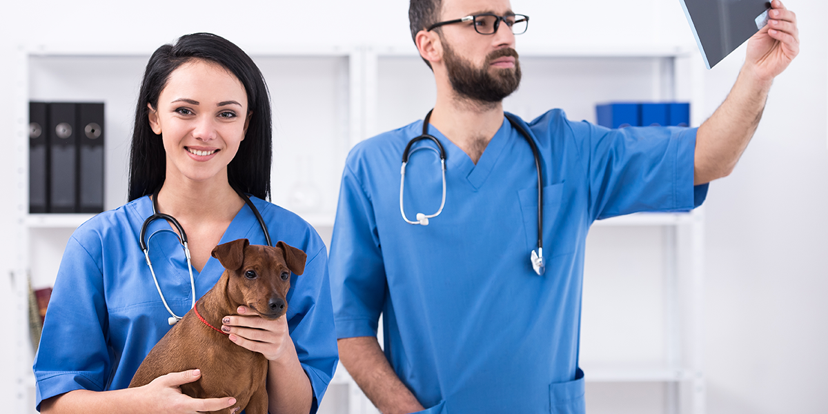 veterinarians-and-pet.png