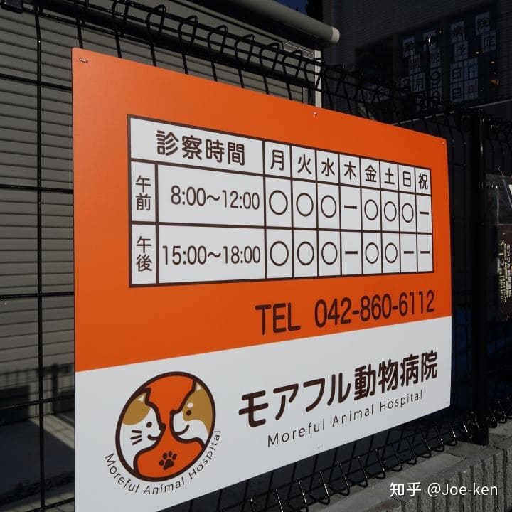 v2-2c21569ebbff77c61343b50ee8811520_r.jpg