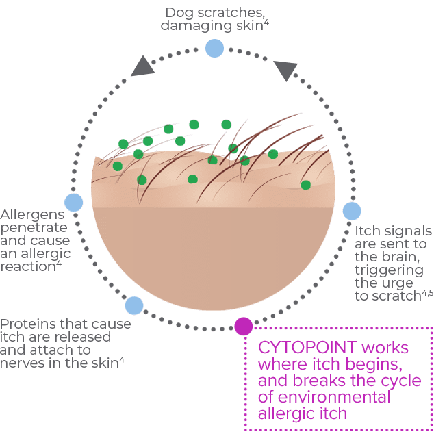 about-chart-cytopoint-works.png about-chart-cytopoint-works.png