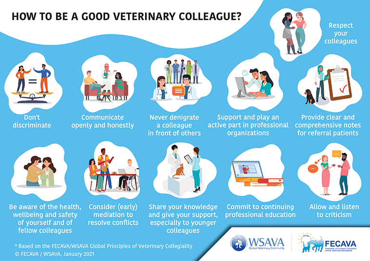 how to be a good veterinary colleague