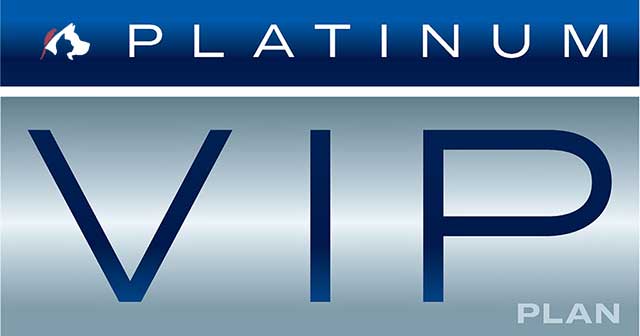 Platinum VIP Plan