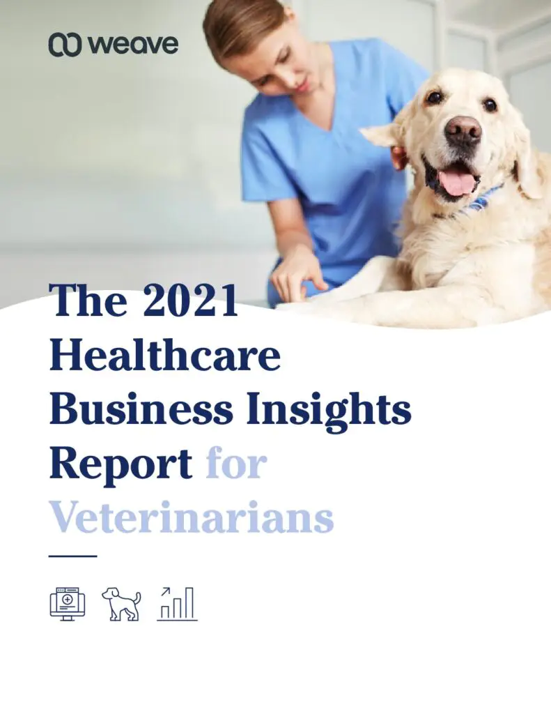 The-2021-Healthcare-Business-Insights-Report-for-Veterinarians-pdf-791x1024.webp