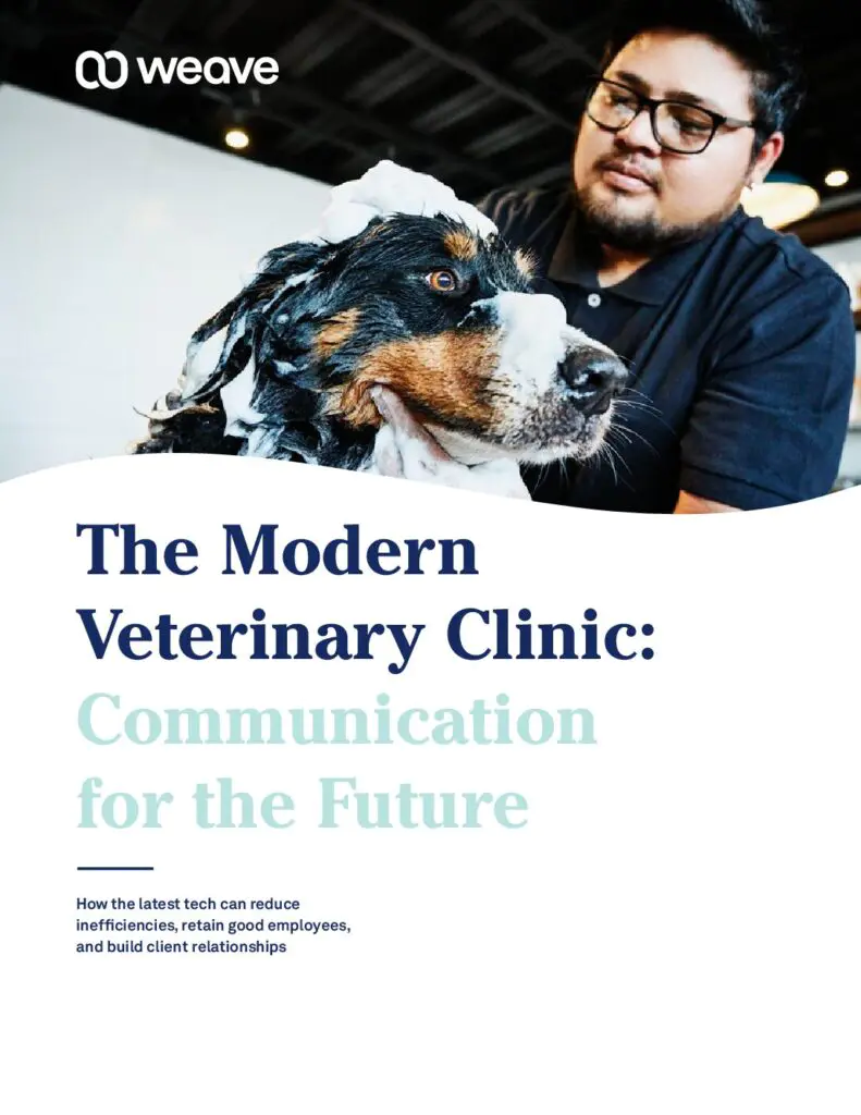 Modern-Veterinary-Communication-For-The-Future-pdf-791x1024.webp