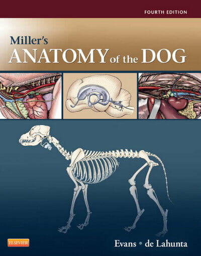 millers-anatomy-of-the-dog-4th-edition1.jpg