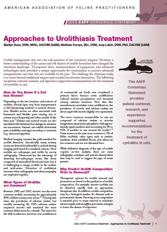 Consensus-Statement-Urolithiasis-FINAL-1.jpg