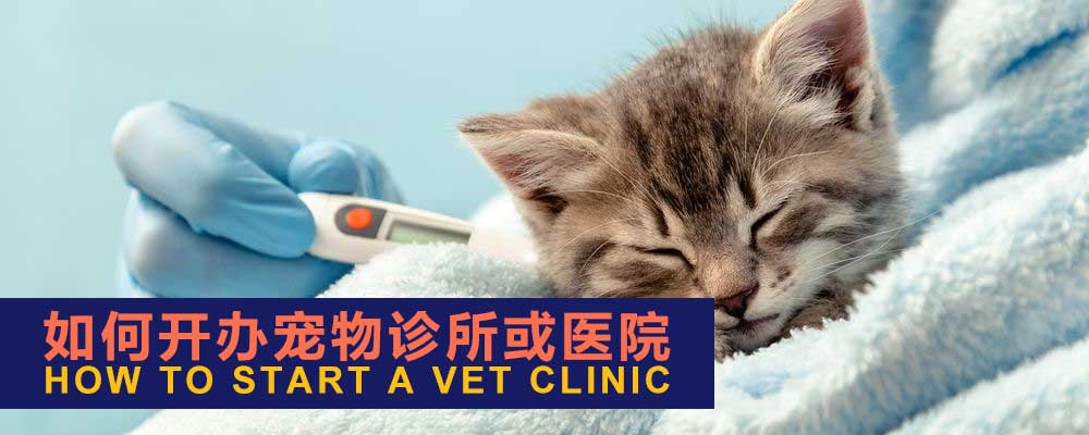 how-to-start-a-veterinary-practice