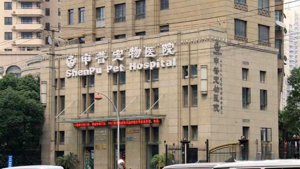 上海申普宠物医院