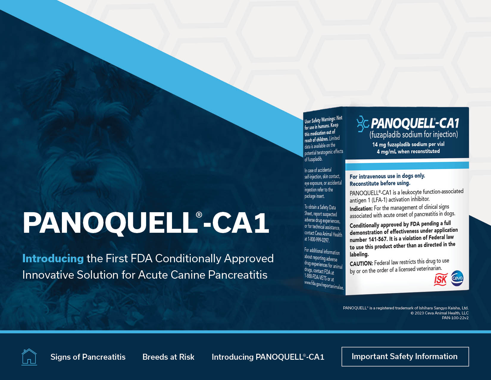 Panoquell-CA1