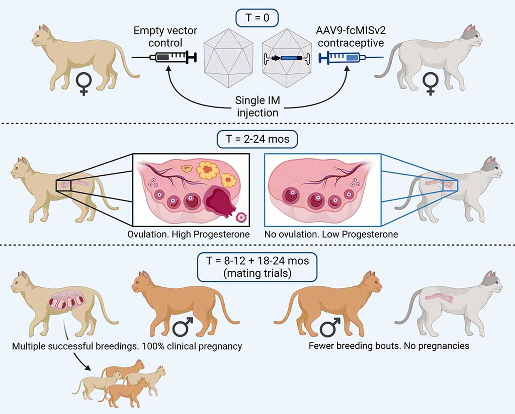 gene-therapy-produces.jpg