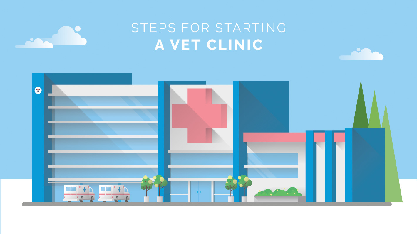 how_to_start_a_veterinary_practice.jpg