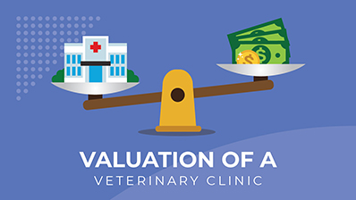 valuation_of_a_veterinary_clinic.jpg