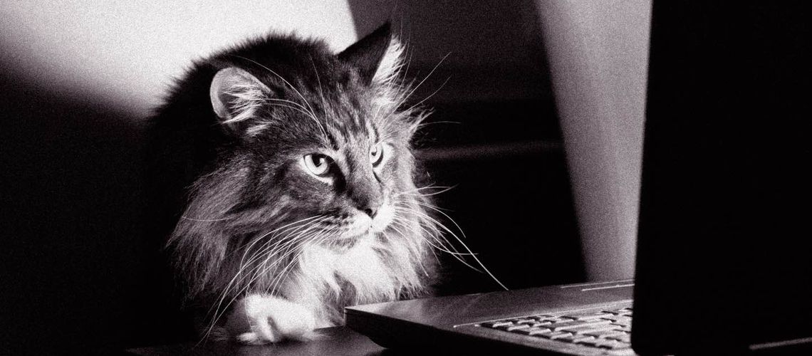 innovation_resources.jpeg__1140x500_q80_crop_subject_location-832,313_subsampling-2.jpg